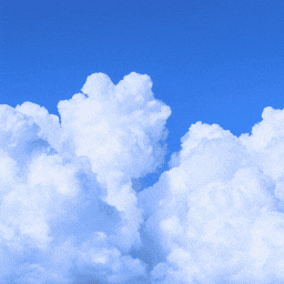 Sirkorgo! In the Meantime... Chapter 4